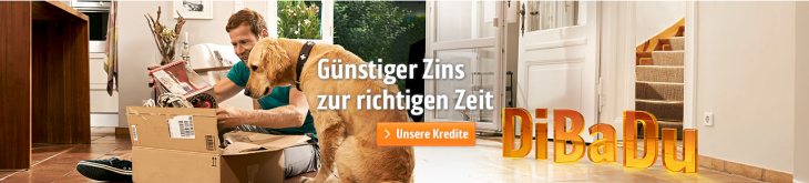 ingdiba sodertilgung erfahrungen
