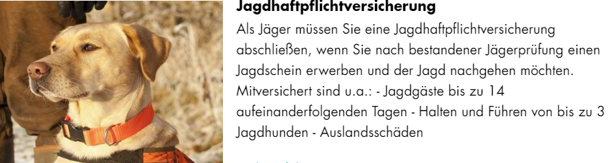 Helvetia Jagdhaftpflichtversicherung